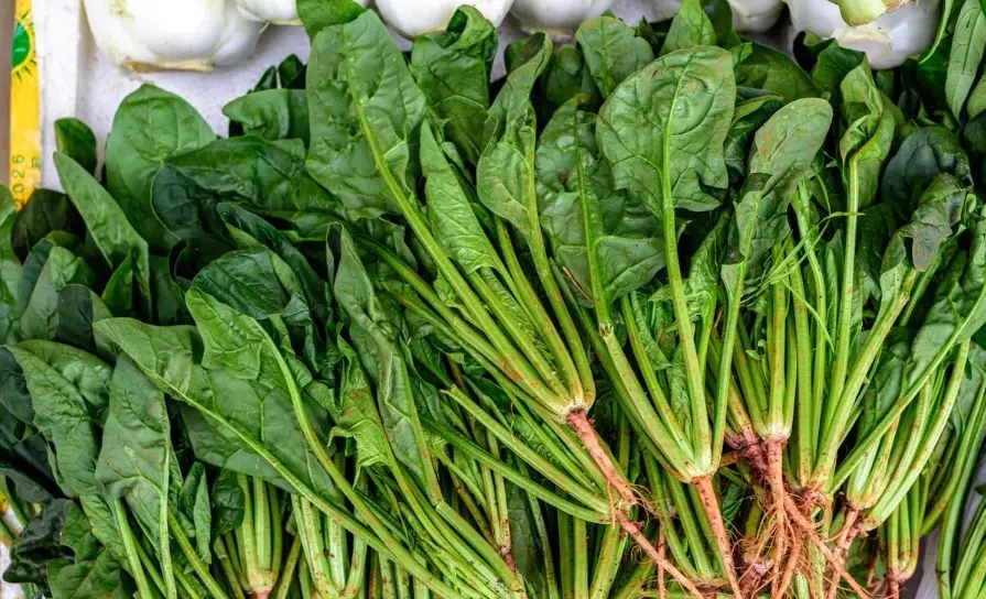 菠菜豆腐可以一起吃嗎