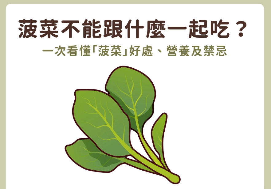 菠菜不能和什麼一起吃？草酸、維生素K與5大類搭配禁忌