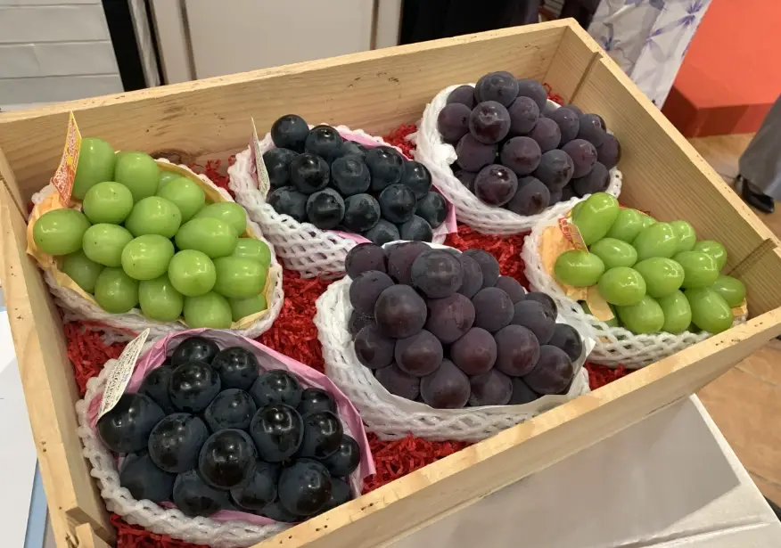 日本柿子產季