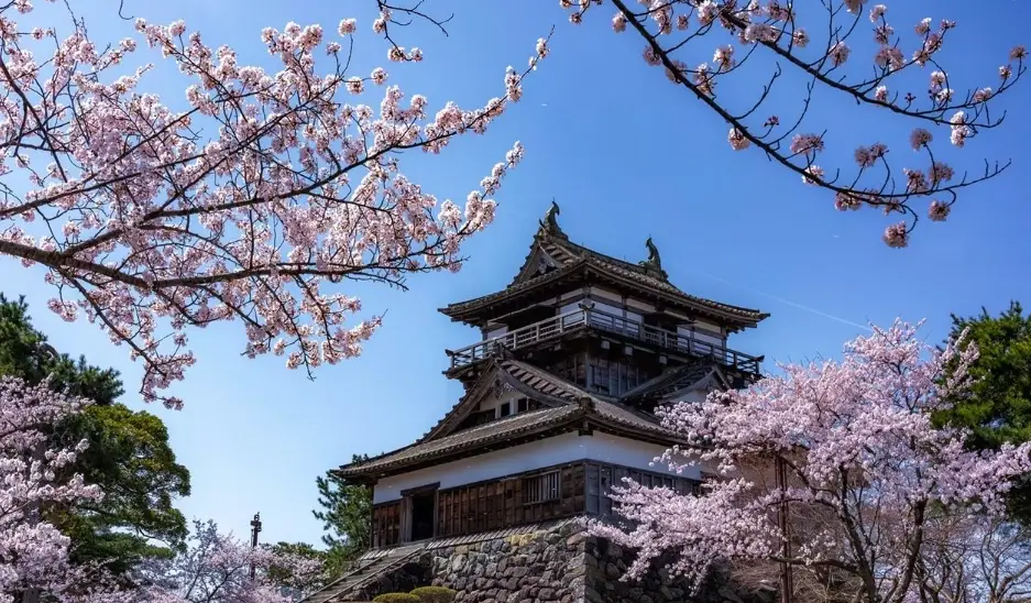 金澤景點