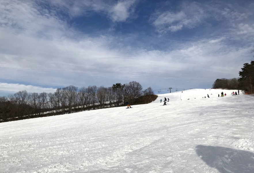 名古屋滑雪場推薦 名古屋滑雪場推薦