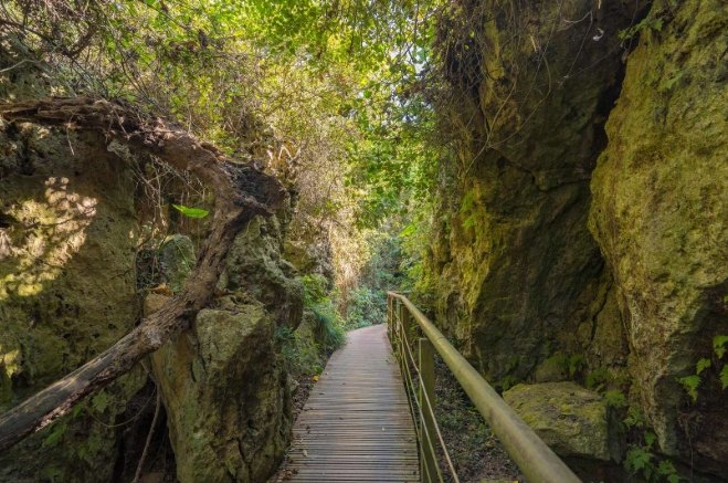 柴山旅游季节