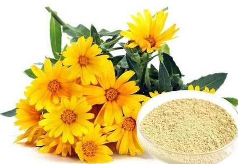 菊花栽培技巧 菊花栽培技巧
