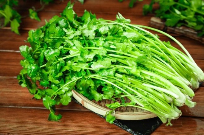 香菜禁忌 香菜禁忌
