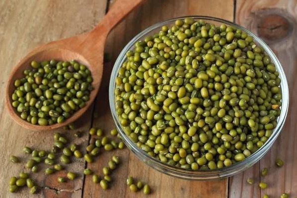 綠豆種植 綠豆種植