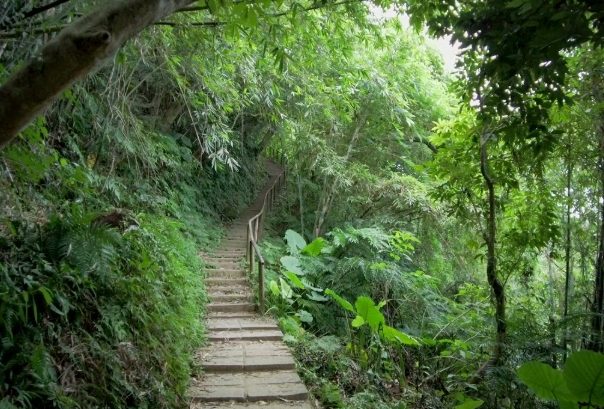 小獅山登山步道