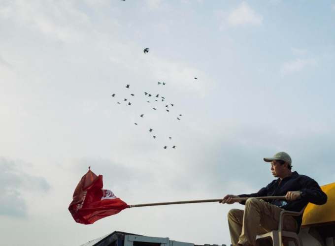 鴿子孵化技巧 鴿子孵化技巧