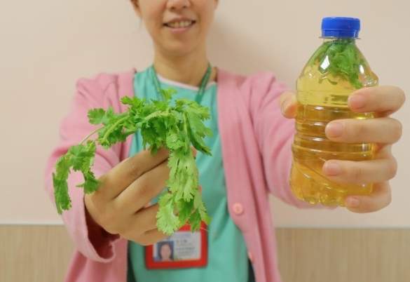 香菜健康影響 香菜健康影響