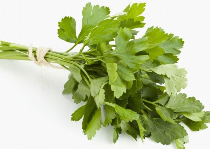 香菜禁忌 香菜禁忌