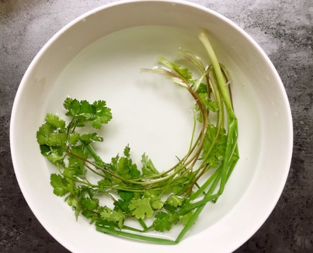 香菜料理方法
