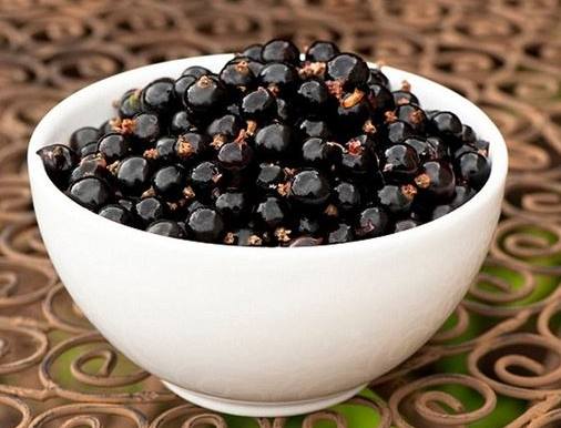 黑醋栗健康風險 黑醋栗健康風險