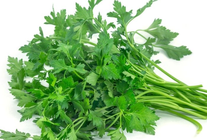 香菜食譜