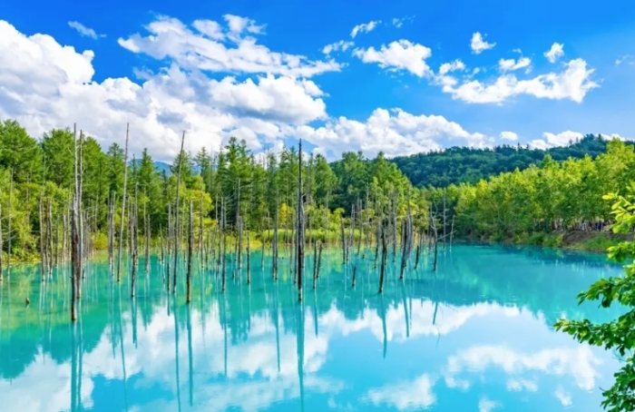 北海道旅遊景點