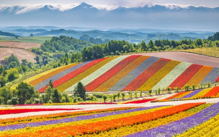 北海道旅遊攻略