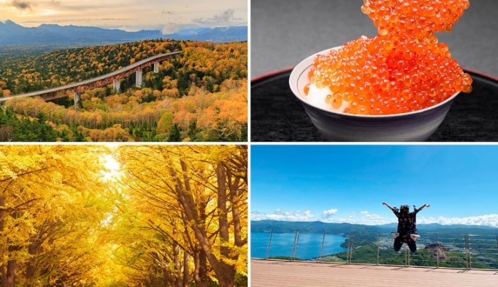 北海道旅遊景點