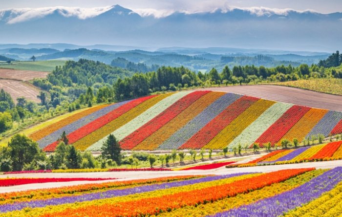 北海道自由行景點