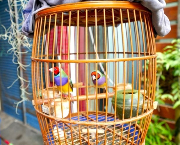 枋寮火車站美食