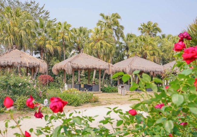 雅聞觀光工廠門票