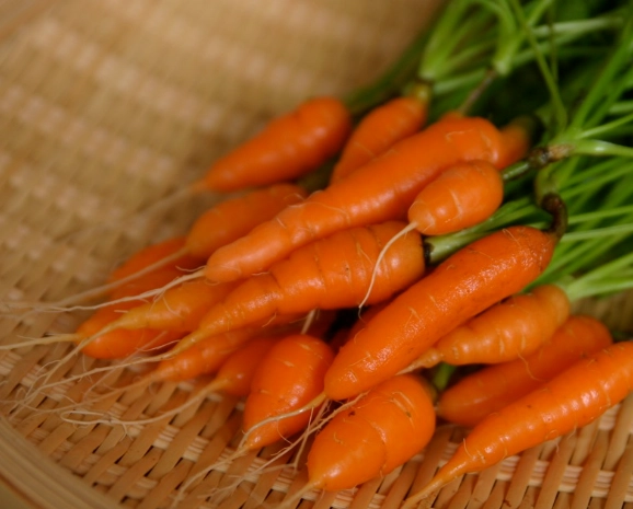 迷你紅蘿蔔健康益處 迷你紅蘿蔔健康益處