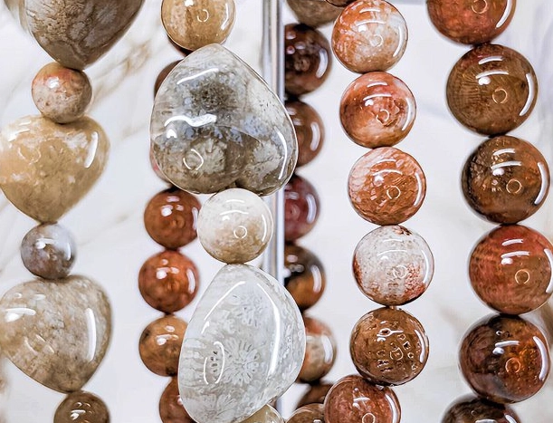 珊瑚玉成因 珊瑚玉成因