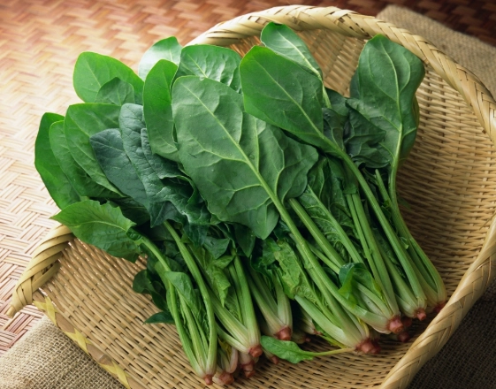 菠菜湯食譜 菠菜湯食譜