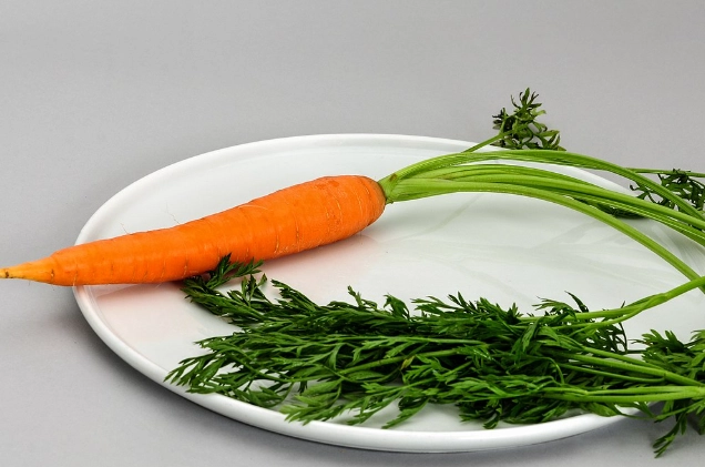 红萝卜营养价值 红萝卜营养价值