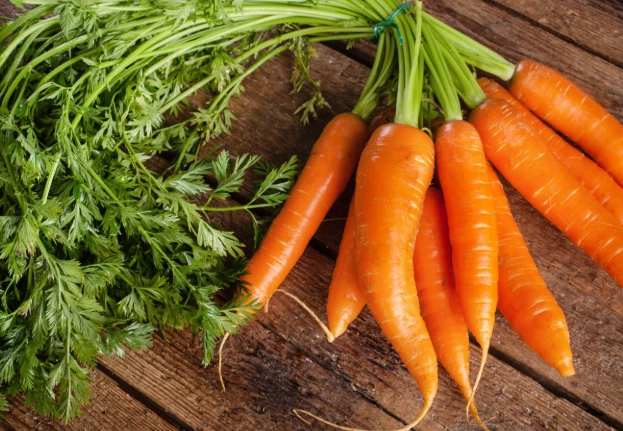 红萝卜健康益处 红萝卜健康益处