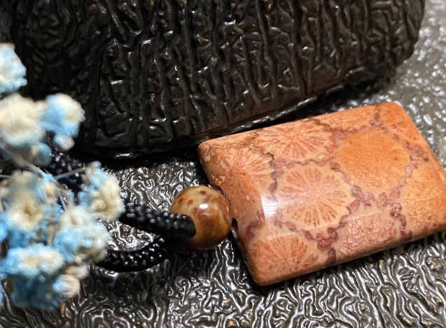 珊瑚菊花玉 功效 珊瑚菊花玉 功效