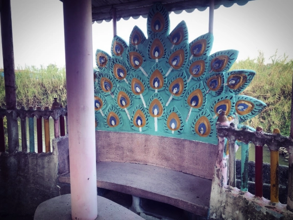 孔雀樓旅遊 孔雀樓旅遊