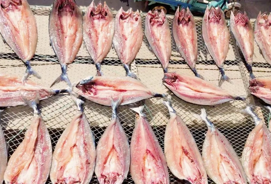 魚乾保存方法