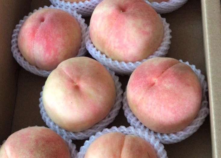 水蜜桃健康影響