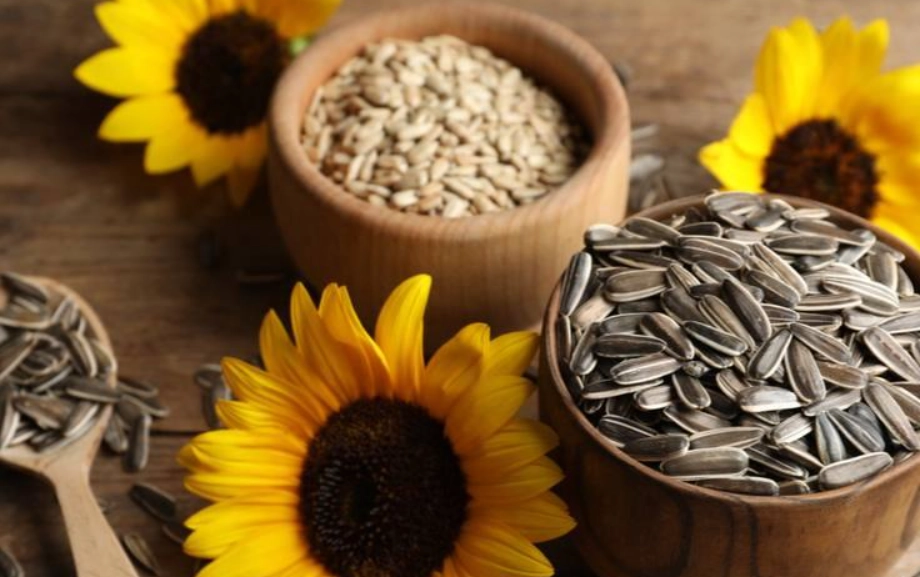 葵花籽健康功效