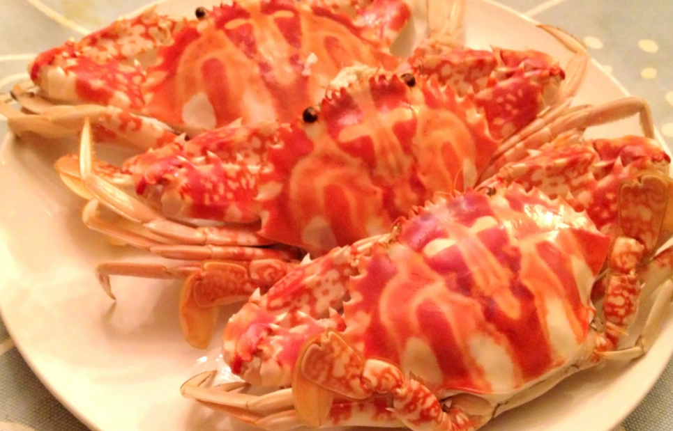 台灣小螃蟹品種