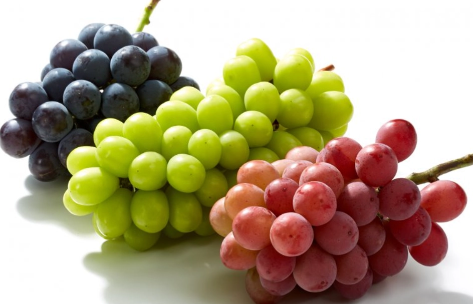 日本水果推薦 日本水果推薦