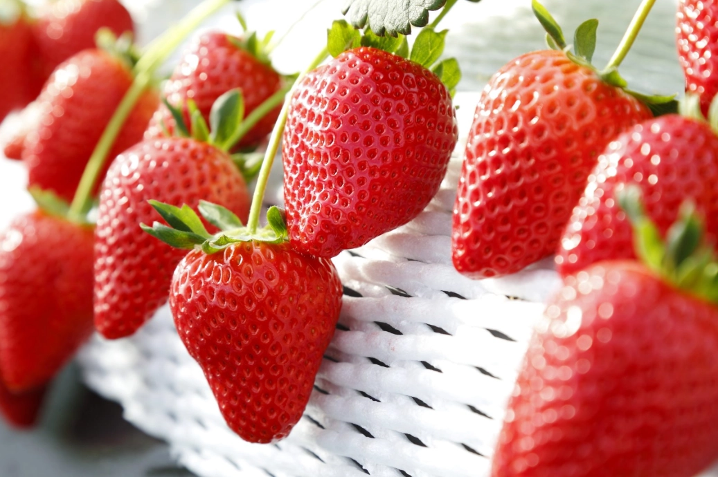 日本水果選購 日本水果選購