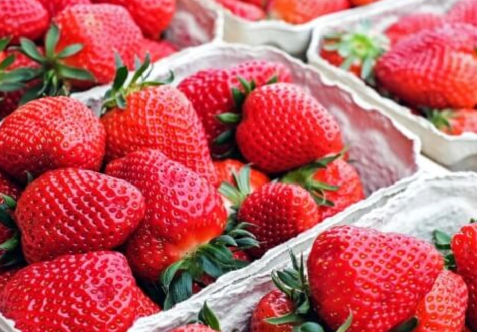 日本水果推薦 日本水果推薦