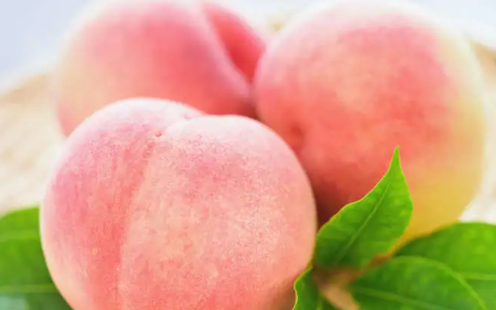 日本水果當季時間 日本水果當季時間