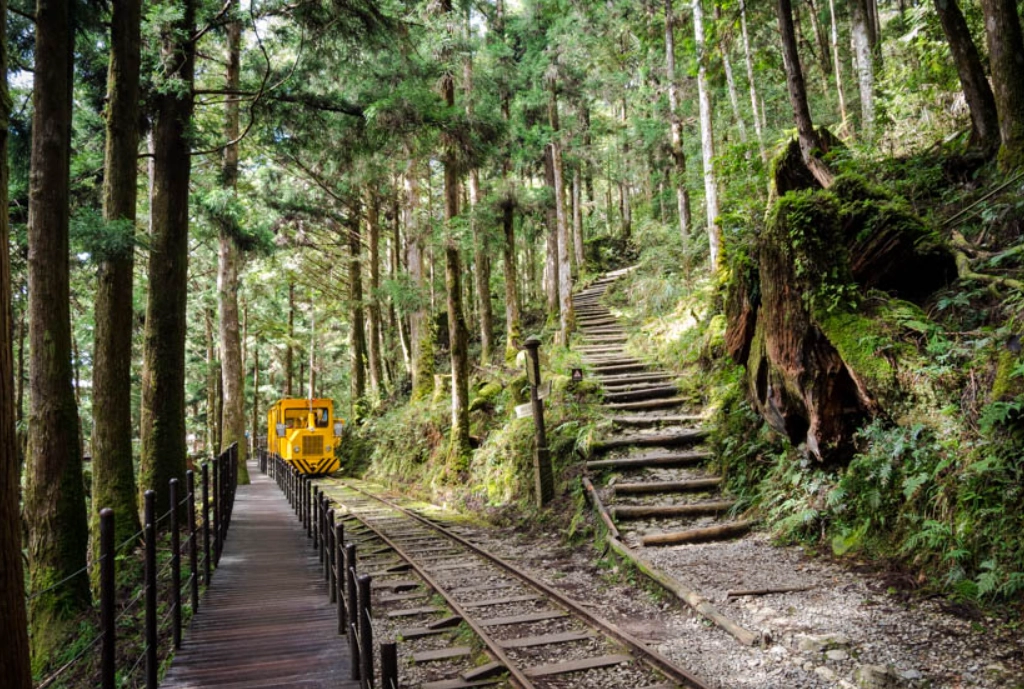 太平山攻略 太平山攻略