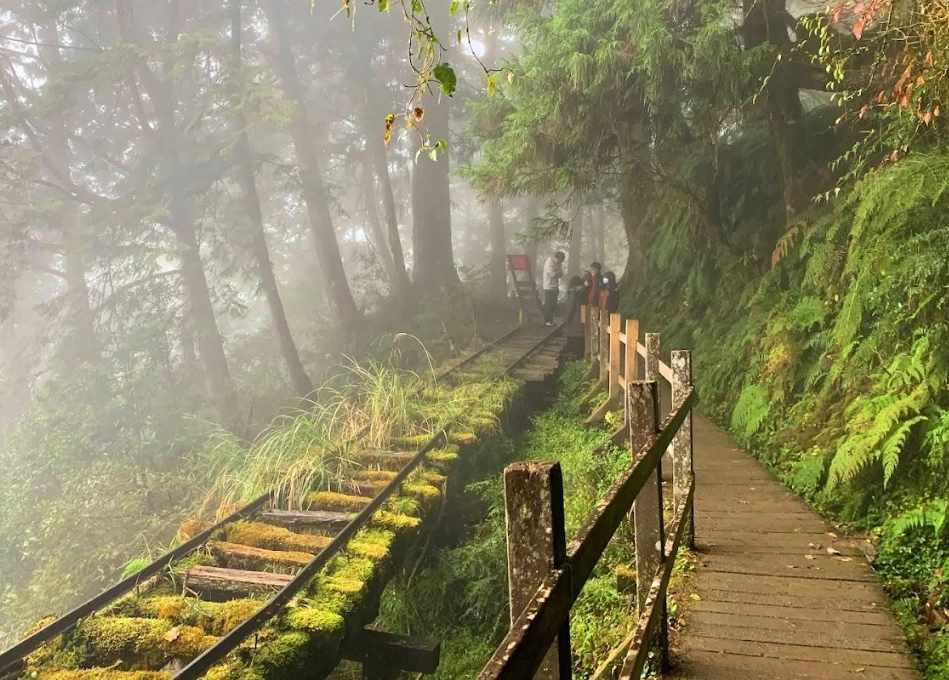 太平山景點 太平山景點
