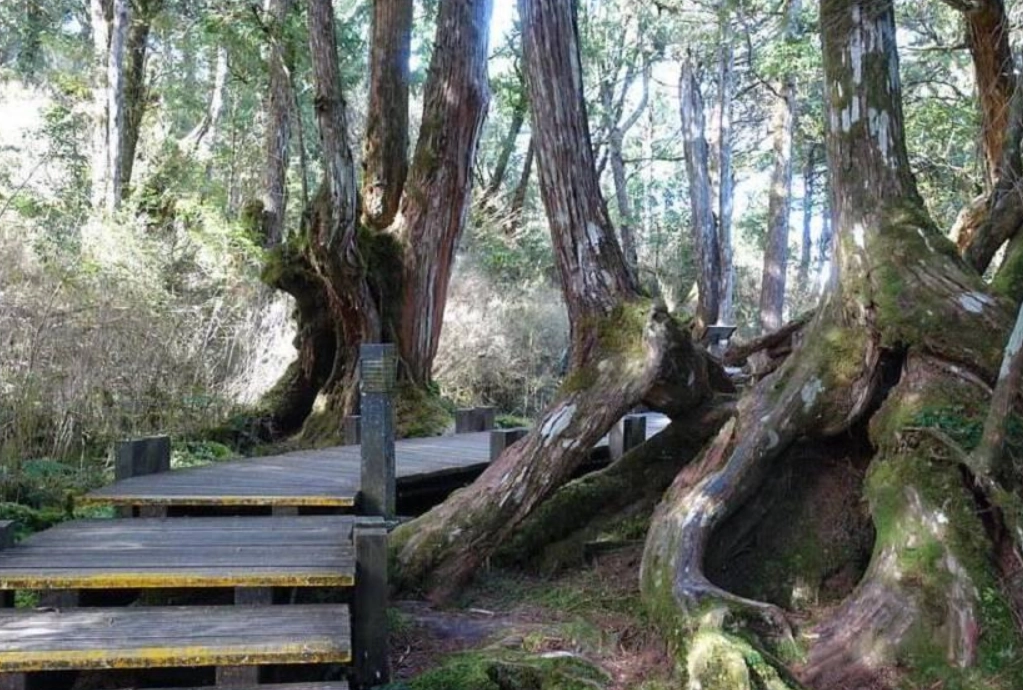 太平山景點 太平山景點