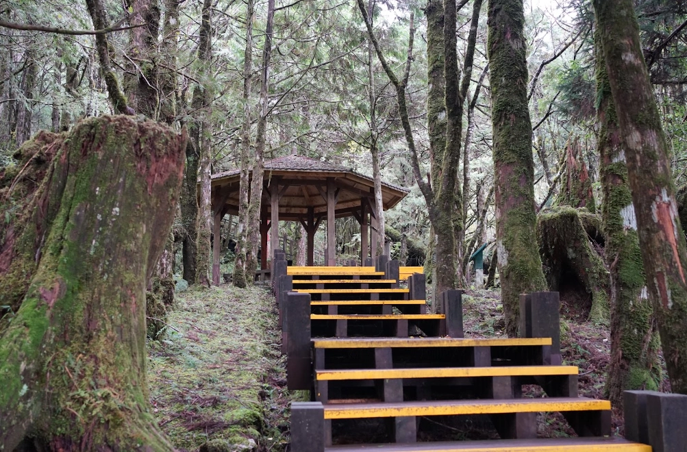 太平山交通 太平山交通