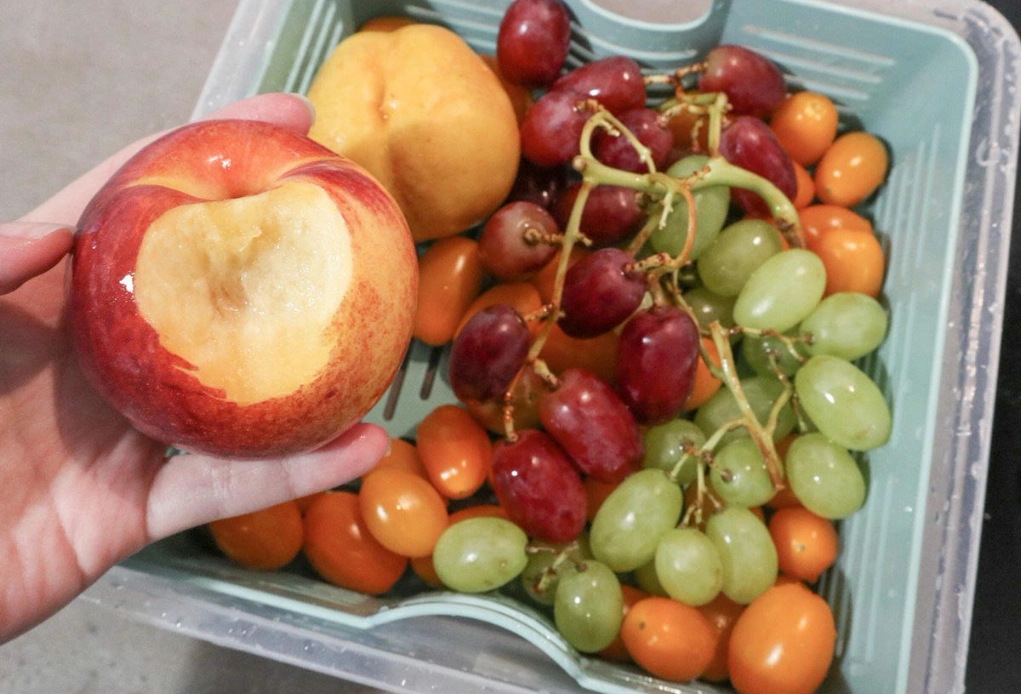 日本水果季節 日本水果季節