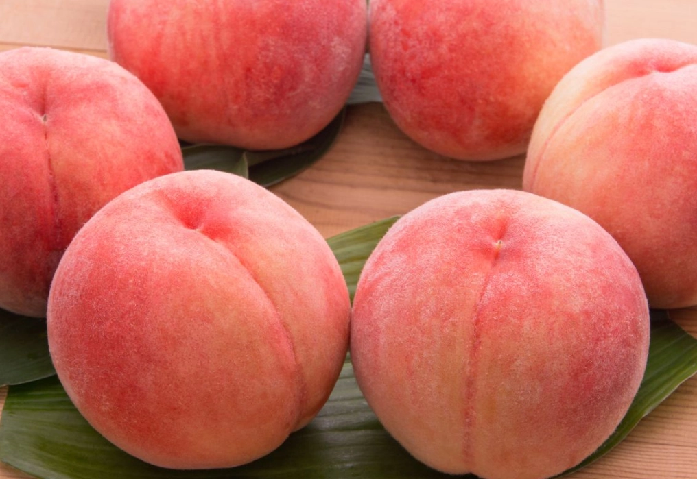 日本水果季節 日本水果季節