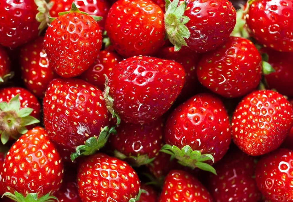 日本水果季節 日本水果季節