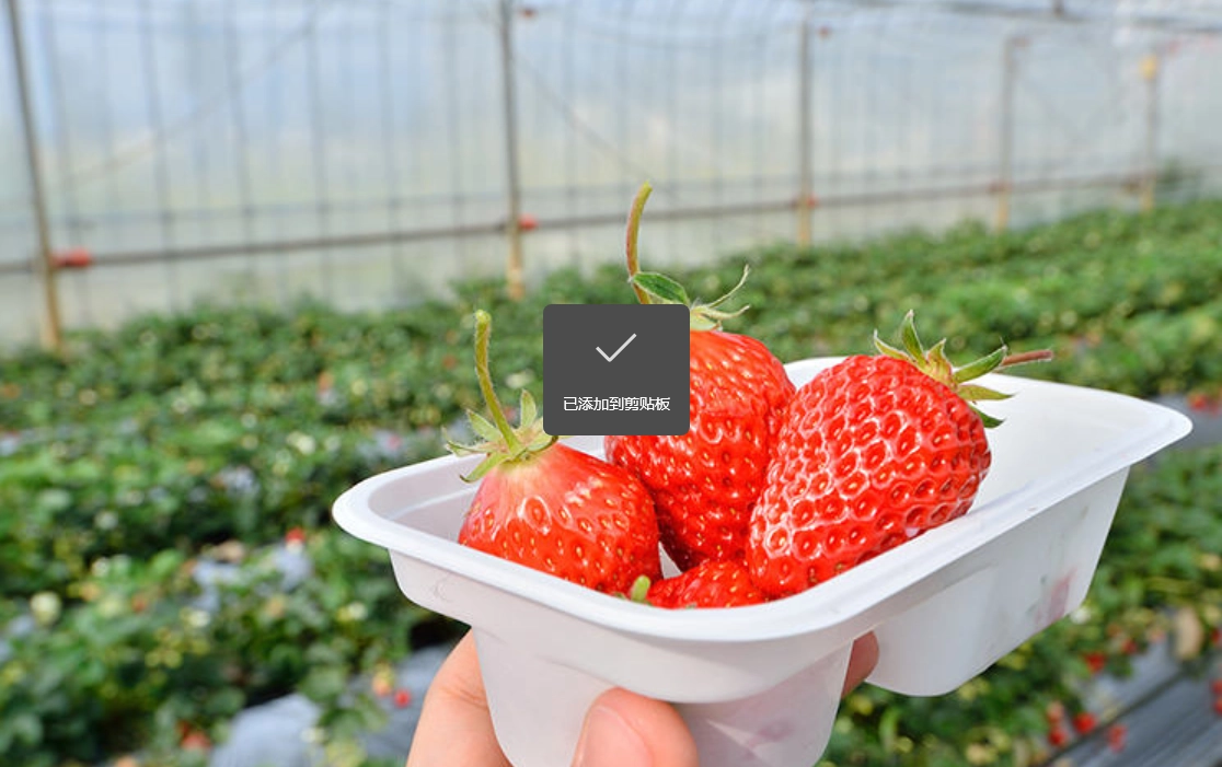 靜岡水果產季 靜岡水果產季