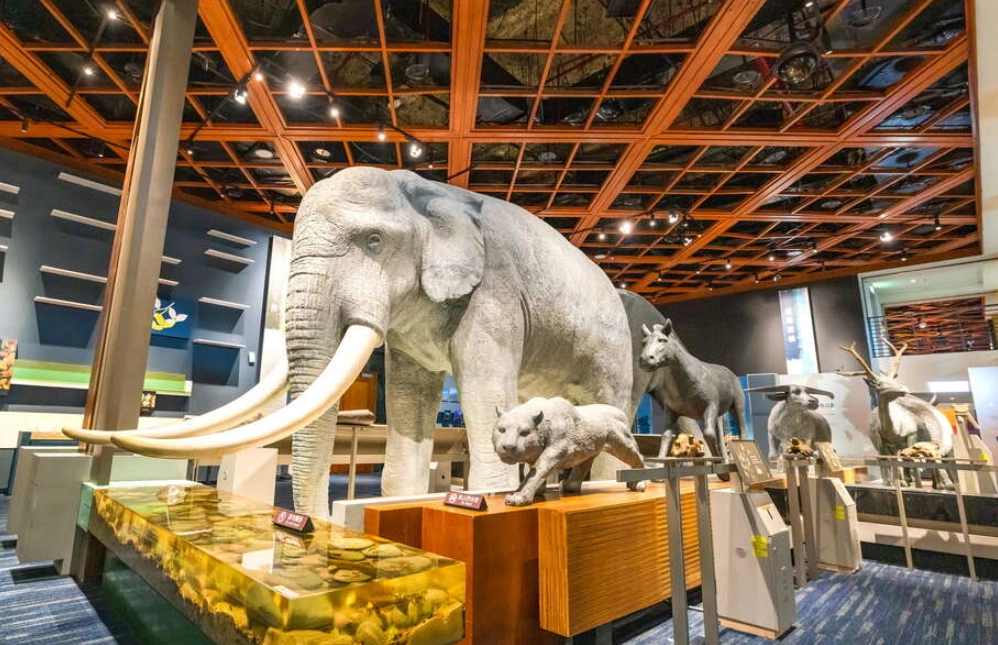 台東旅遊 台東旅遊