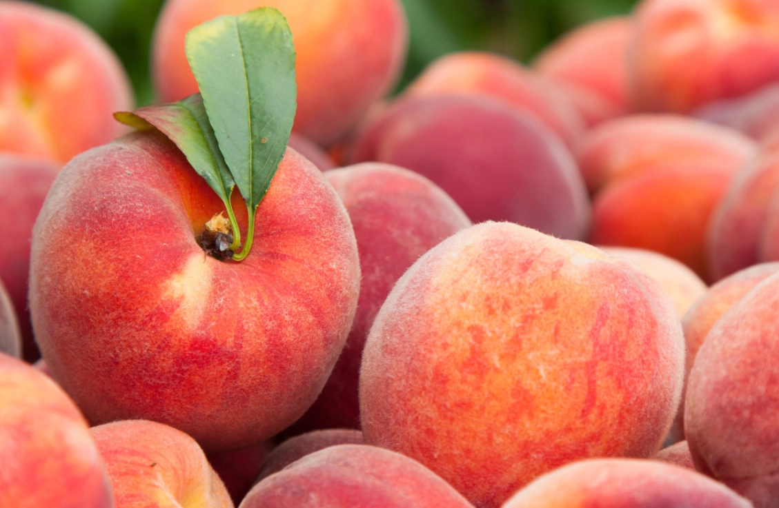 日本時令水果 日本時令水果