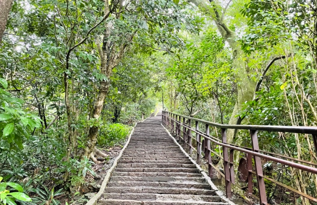 台北101夜景步道