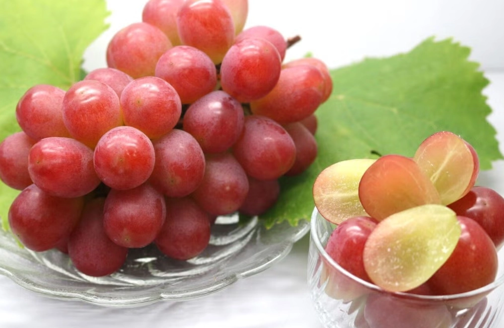 日本水果品種推薦 日本水果品種推薦