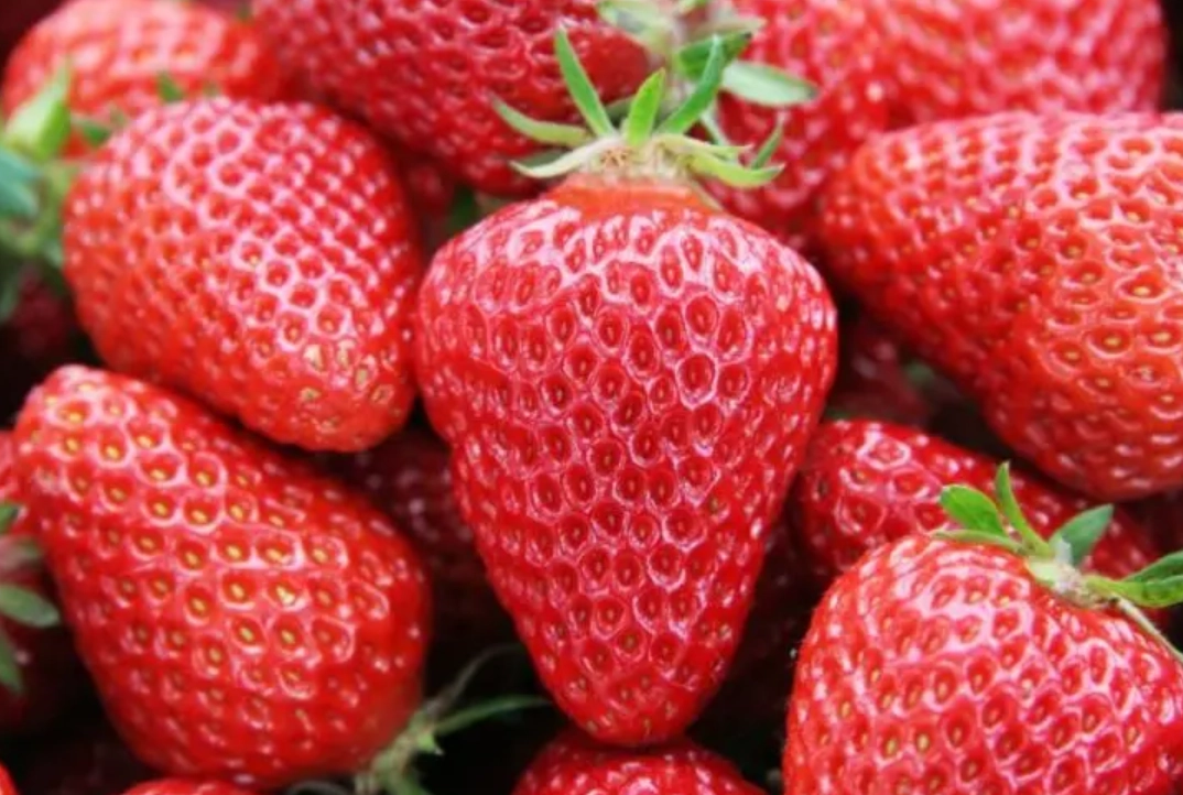 水果農場 水果農場